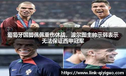 奇异果体育官网入口