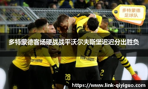 奇异果体育官网入口