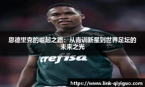 奇异果体育平台