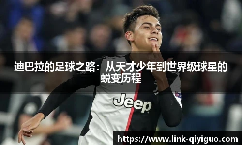 奇异果体育平台