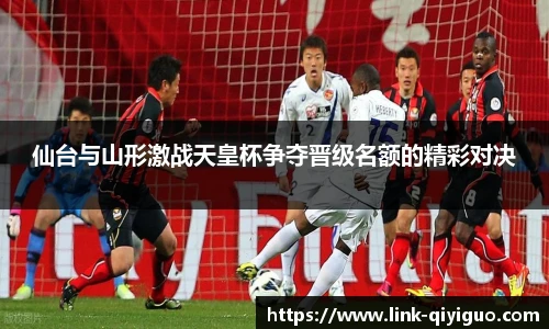 奇异果体育官网入口